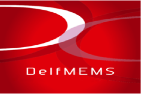 DelfMEMS